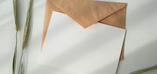 white paper and brown envelope